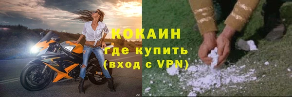 сатива Михайловка
