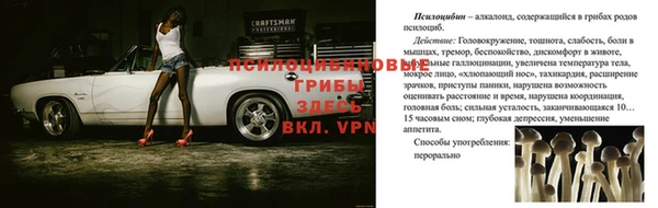 a pvp Михайлов