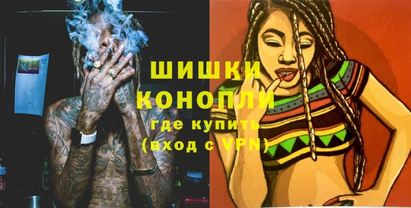 сатива Михайловка